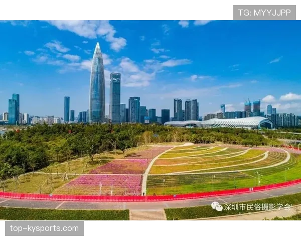 深圳新鹏城急需通过战术调整改善攻防两端表现 深圳新鹏城急需通过战术调整改善攻防两端表现